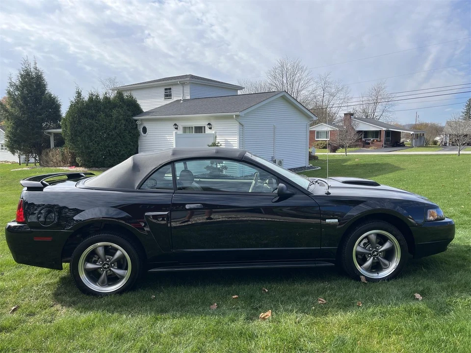 2003 Ford SN95 Mustang - Image 17 of 31