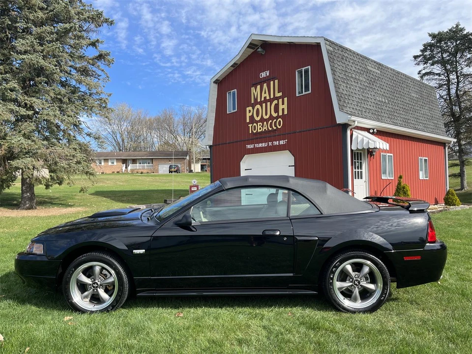 2003 Ford SN95 Mustang - Image 20 of 31