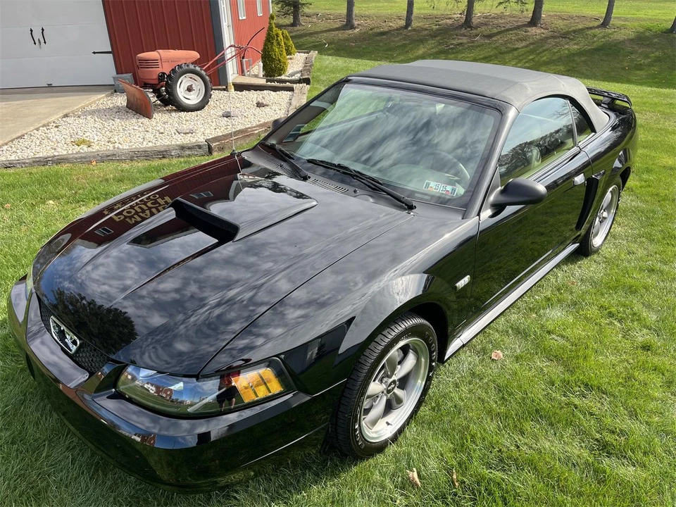 2003 Ford SN95 Mustang - Image 29 of 31
