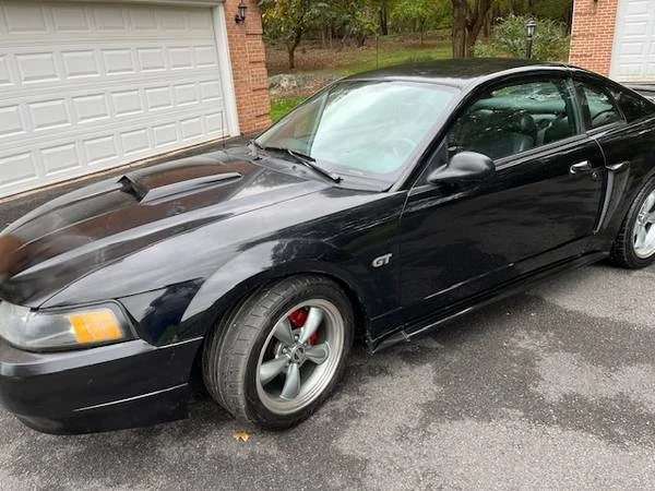 2003 Ford SN95 Mustang - Image 2 of 12