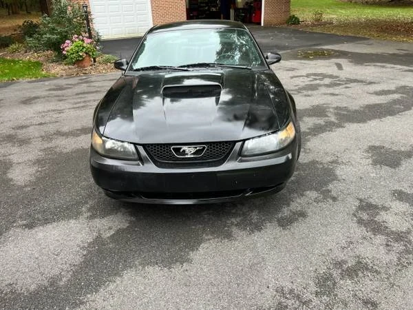 2003 Ford SN95 Mustang - Image 3 of 12
