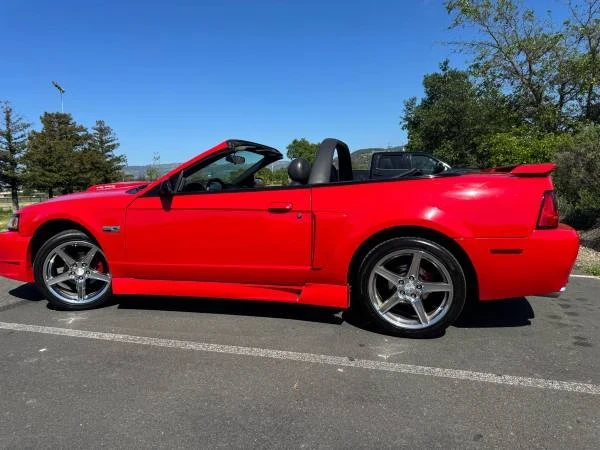 2003 Ford SN95 Mustang - Image 4 of 10