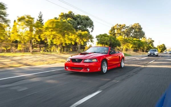 2003 Ford SN95 Mustang - Image 5 of 10