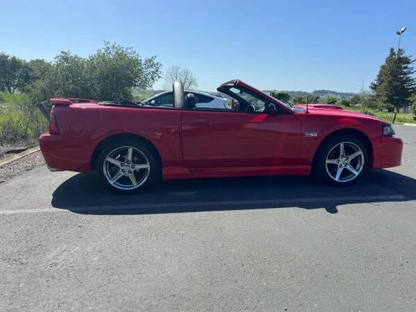 2003 Ford SN95 Mustang - Image 3 of 10