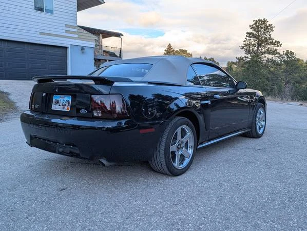 2003 Ford SN95 Mustang - Image 4 of 21
