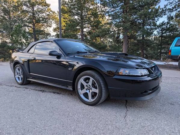 2003 Ford SN95 Mustang - Image 12 of 21
