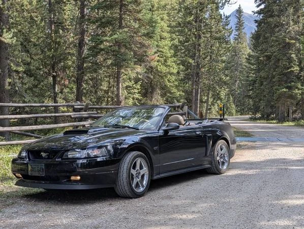 2003 Ford SN95 Mustang - Image 13 of 21