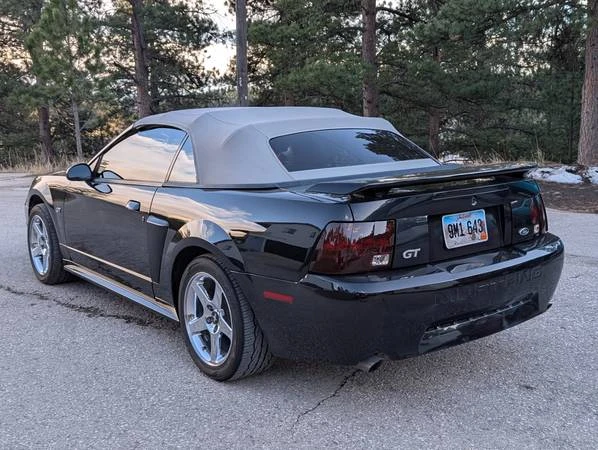 2003 Ford SN95 Mustang - Image 6 of 21