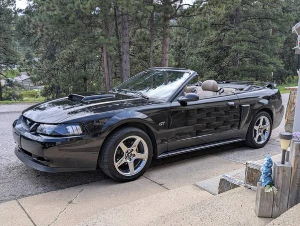 2003 Ford SN95 Mustang - Image 14 of 21