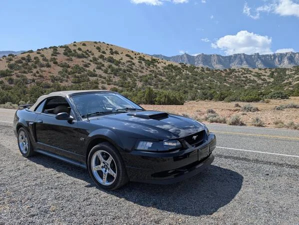2003 Ford SN95 Mustang - Image 15 of 21
