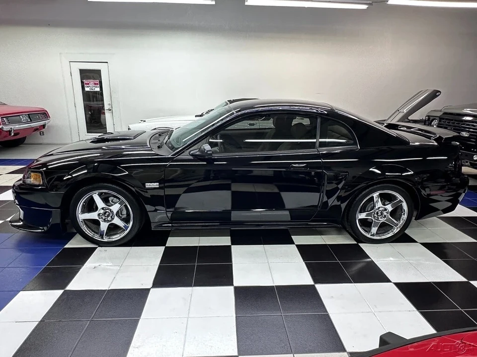 2003 Ford SN95 Mustang - Image 13 of 21