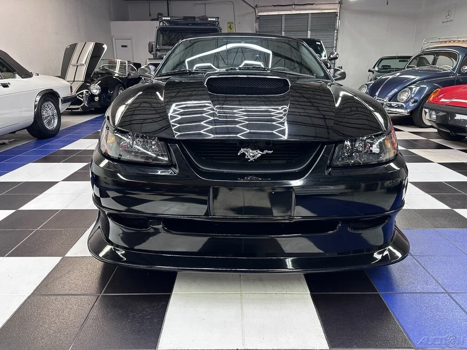 2003 Ford SN95 Mustang - Image 5 of 21