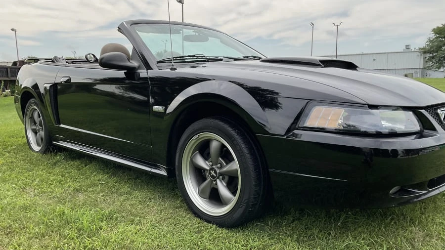 2003 Ford SN95 Mustang - Image 7 of 16