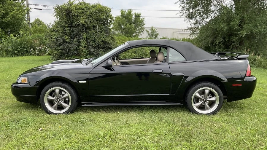 2003 Ford SN95 Mustang - Image 5 of 16