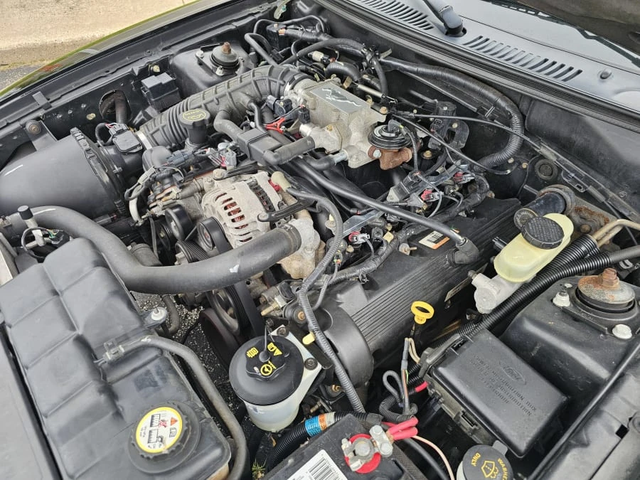 2003 Ford SN95 Mustang - Image 14 of 15