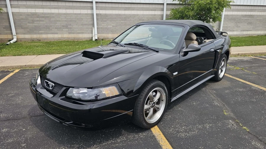 2003 Ford SN95 Mustang - Image 6 of 15