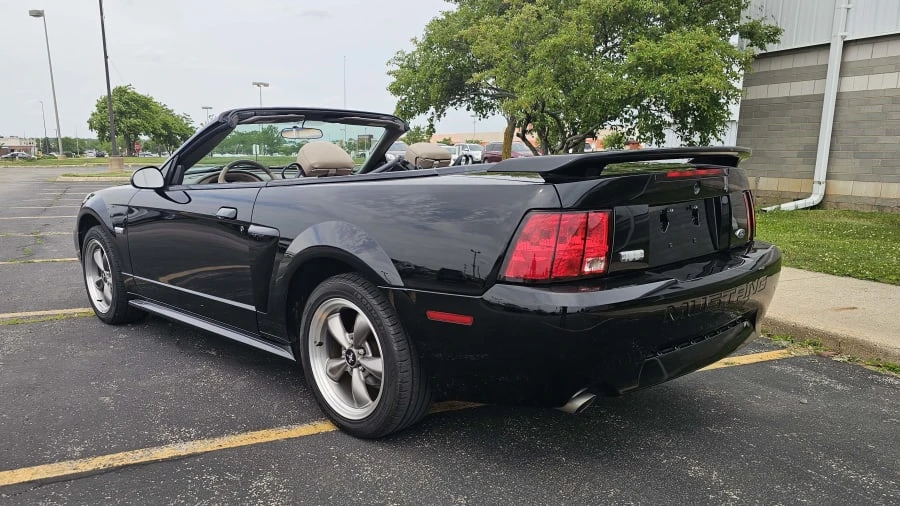 2003 Ford SN95 Mustang - Image 3 of 15