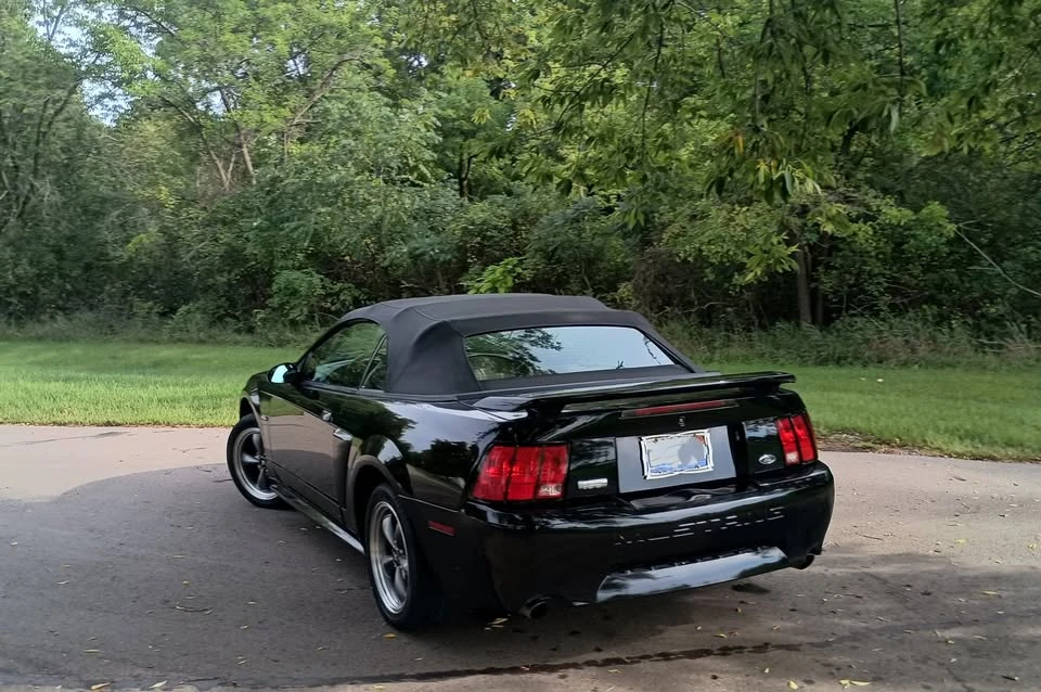 2003 Ford SN95 Mustang - Image 3 of 8