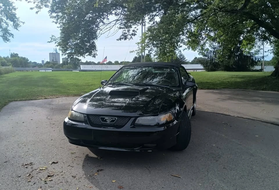 2003 Ford SN95 Mustang - Image 2 of 8