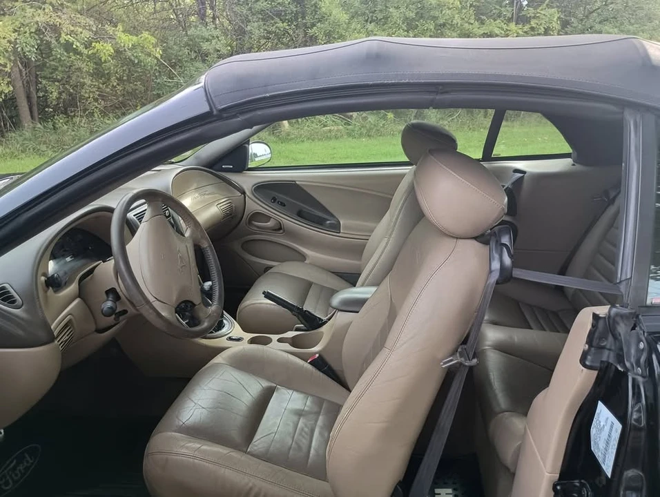 2003 Ford SN95 Mustang - Image 6 of 8