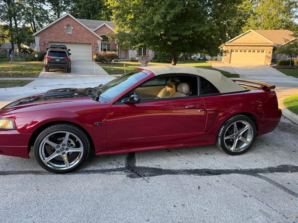 2003 Ford SN95 Mustang - Image 2 of 9