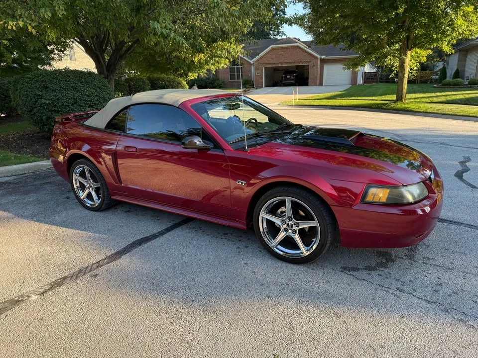 2003 Ford SN95 Mustang - Image 6 of 9