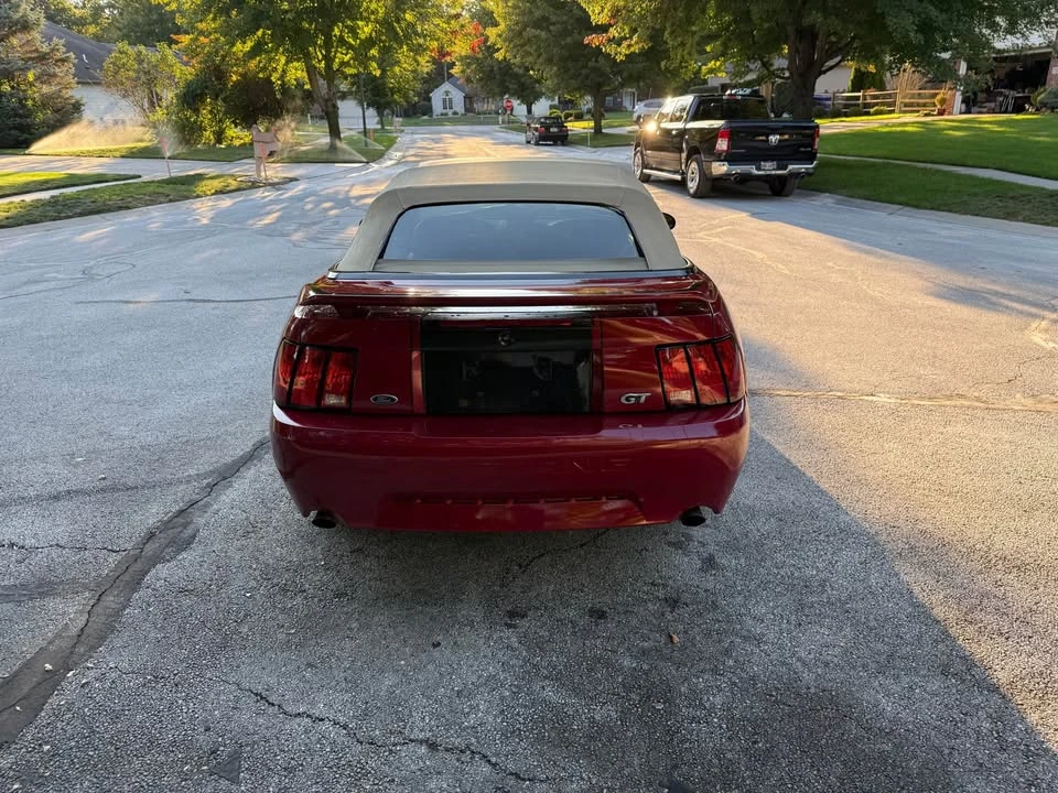 2003 Ford SN95 Mustang - Image 4 of 9