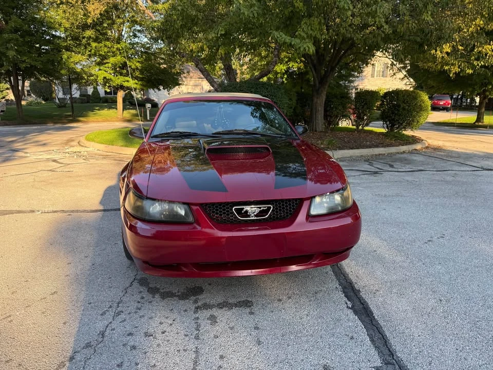 2003 Ford SN95 Mustang - Image 7 of 9