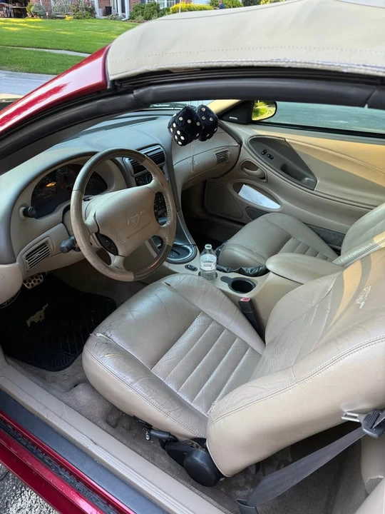 2003 Ford SN95 Mustang - Image 8 of 9