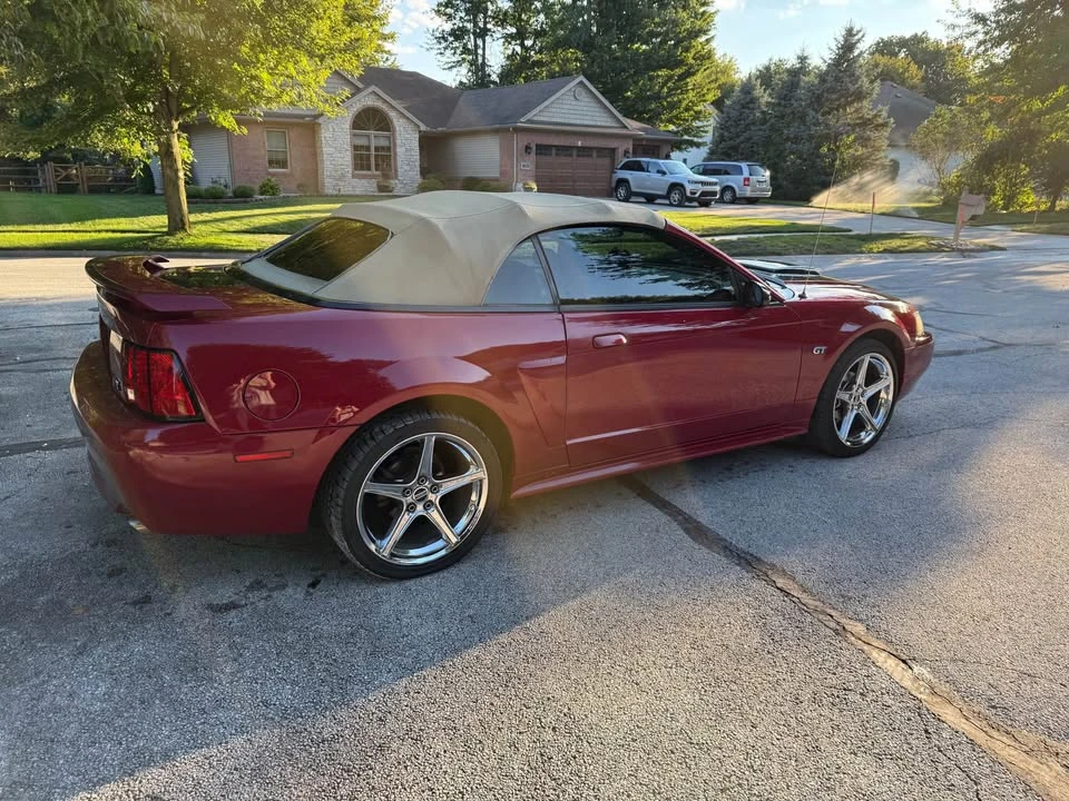 2003 Ford SN95 Mustang - Image 5 of 9
