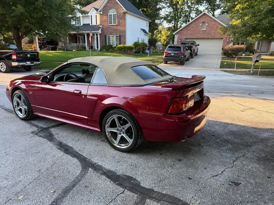 2003 Ford SN95 Mustang - Image 3 of 9