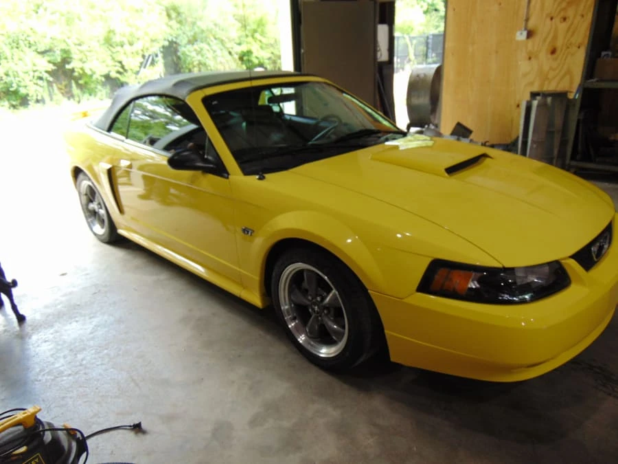 2003 Ford SN95 Mustang - Image 11 of 11