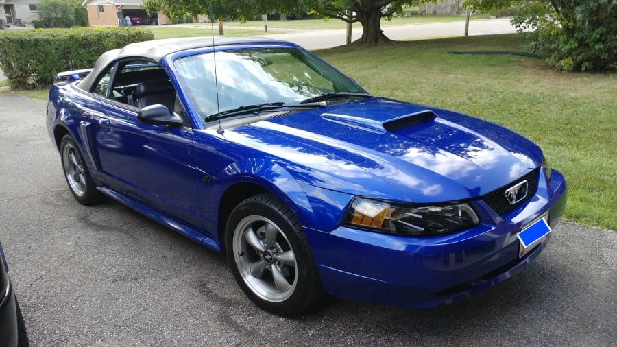 2003 Ford SN95 Mustang - Image 8 of 9