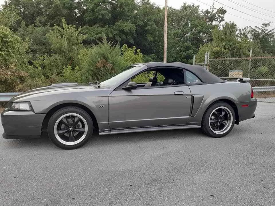 2003 Ford SN95 Mustang - Image 2 of 13
