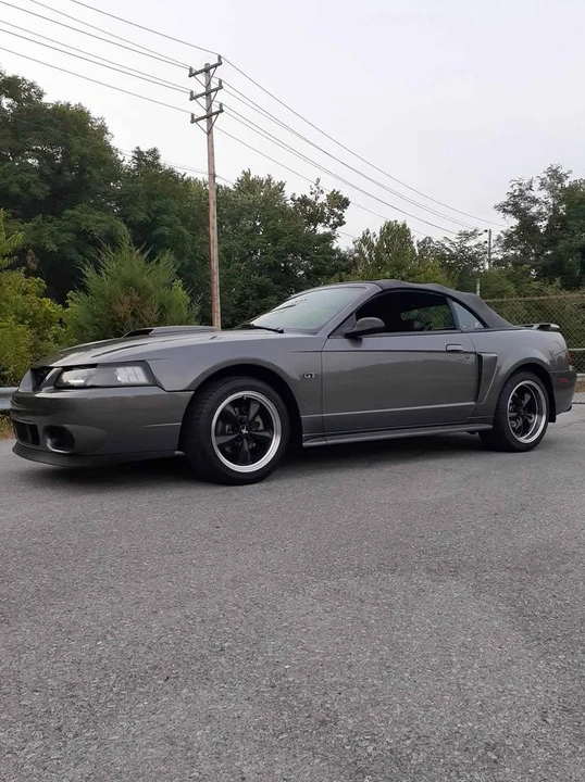 2003 Ford SN95 Mustang - Image 5 of 13