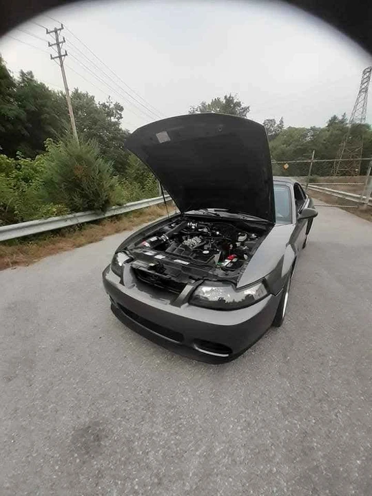 2003 Ford SN95 Mustang - Image 4 of 13