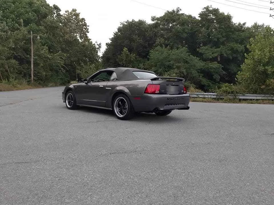 2003 Ford SN95 Mustang - Image 3 of 13