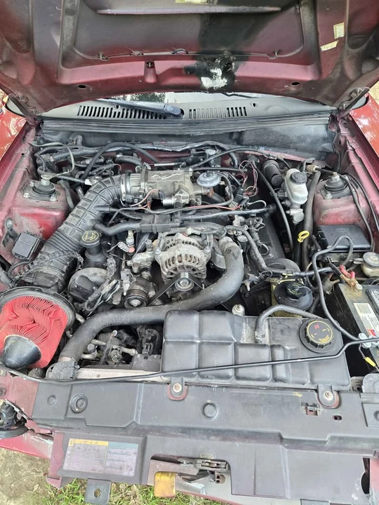 2003 Ford SN95 Mustang - Image 6 of 13