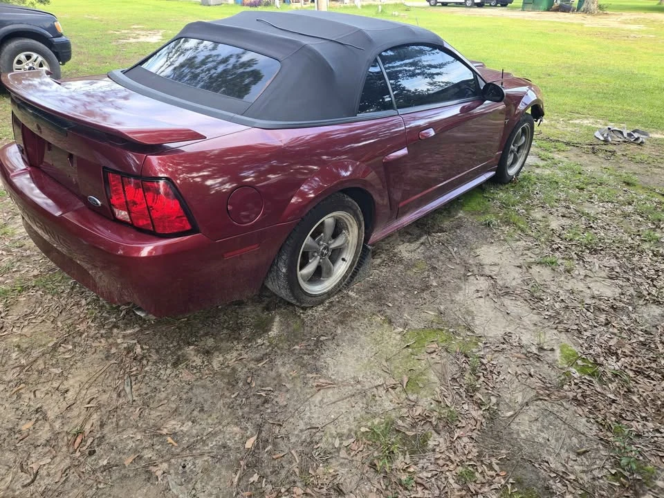 2003 Ford SN95 Mustang - Image 3 of 13