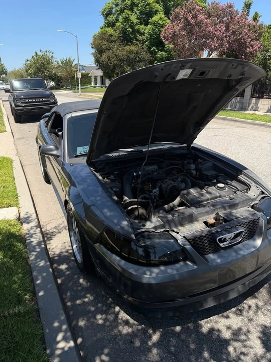 2003 Ford SN95 Mustang - Image 2 of 3