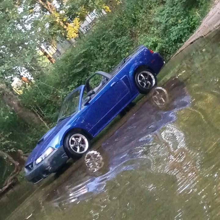 2003 Ford SN95 Mustang - Image 2 of 14