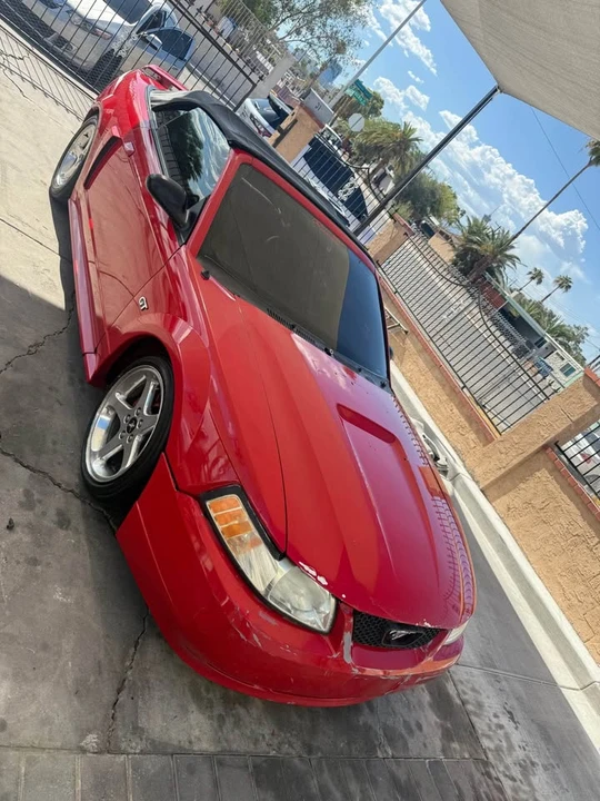 2003 Ford SN95 Mustang - Image 3 of 10