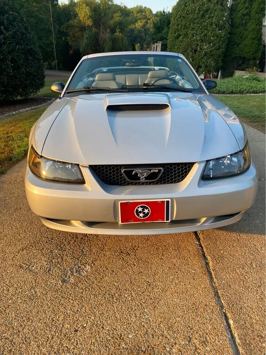 2003 Ford SN95 Mustang - Image 3 of 7