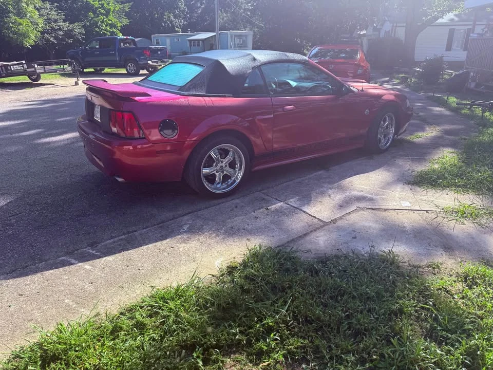 2003 Ford SN95 Mustang - Image 4 of 9
