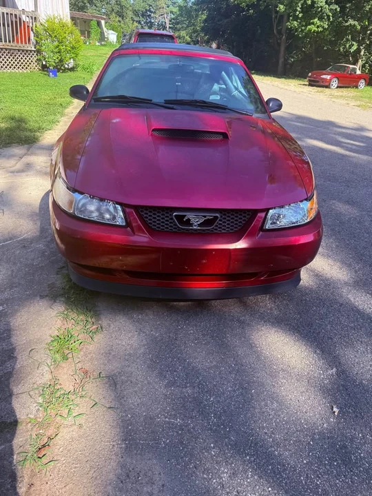 2003 Ford SN95 Mustang - Image 3 of 9