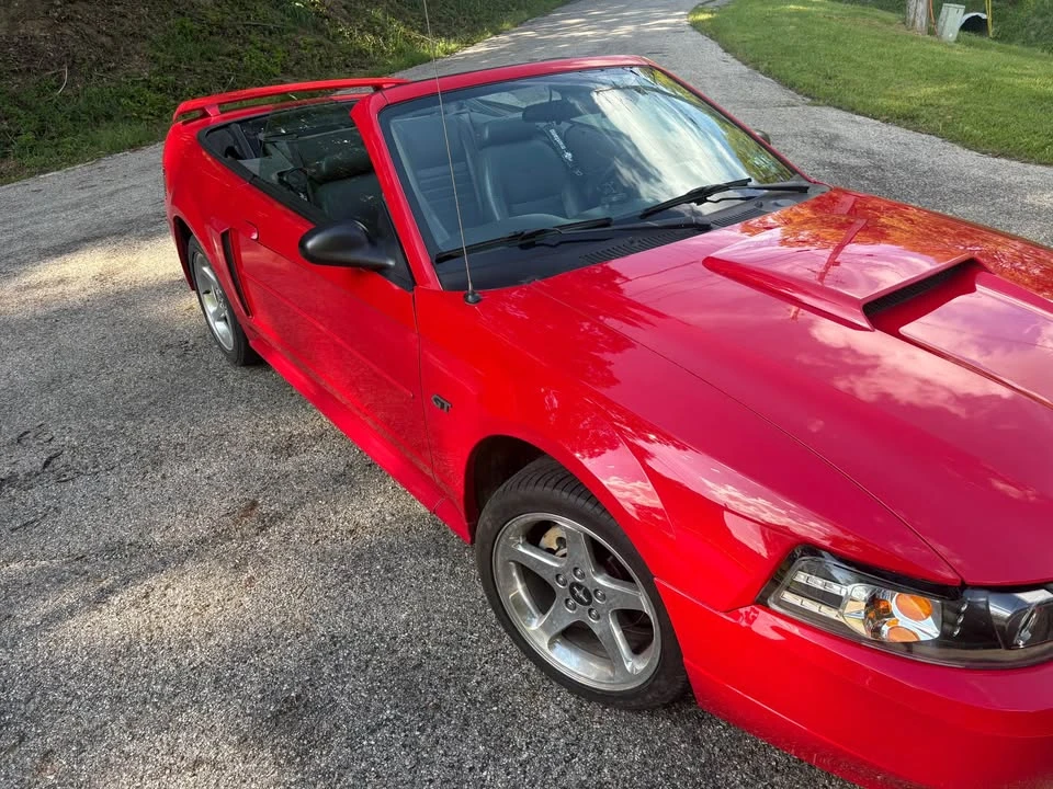 2003 Ford SN95 Mustang - Image 2 of 10