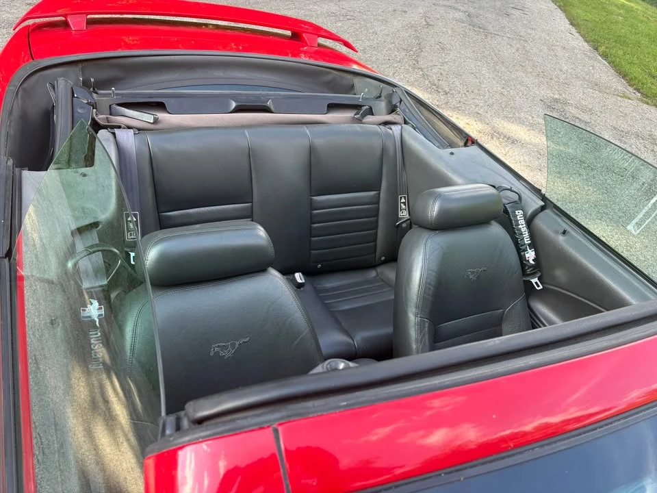 2003 Ford SN95 Mustang - Image 5 of 10