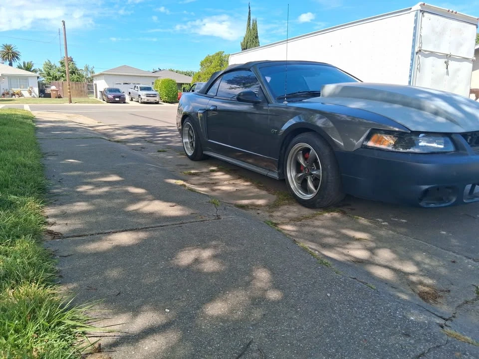 2003 Ford SN95 Mustang - Image 4 of 8