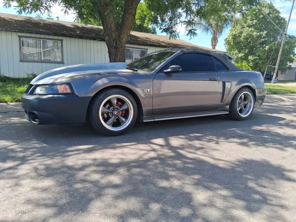 2003 Ford SN95 Mustang - Image 2 of 8