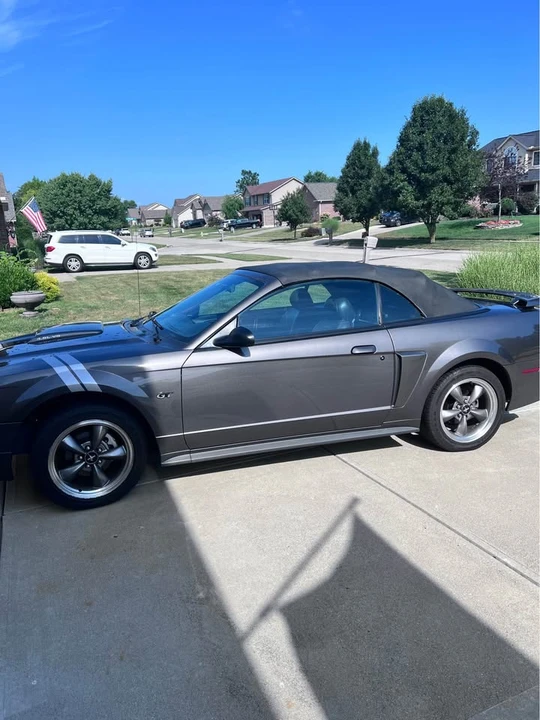 2003 Ford SN95 Mustang - Image 11 of 12
